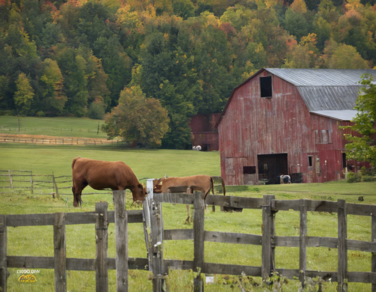 Harvest Time at Good Day Farm Jackson: A Country Escape